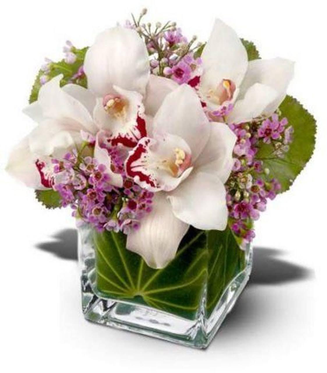 Fresh cut cymbidium orchids with pink wax flowers and green foliage in a clear 4-inch cube vase.