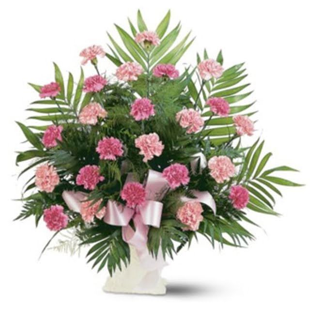 Classic Carnation arrangement