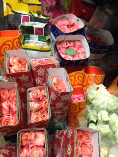 remove-the-pink-roses-use-this-image-rotated.jpg remove-the-pink-roses-use-this-image-rotated.jpg