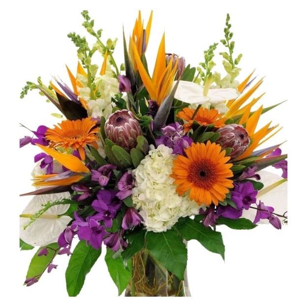 Colorful floral arrangement with orange, purple, and white flowers, including Birds of Paradise and lush green leaves.